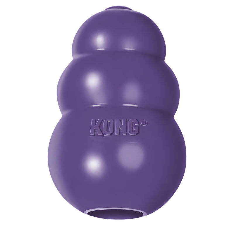 KONG Search Toy for Dogs | Treat-Fillable Enrichment & Slow Feeder Toy