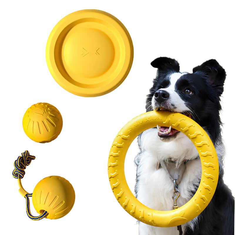 Rope Toy for Dogs | Interactive Ring Toy for Tug, Fetch & Active Play