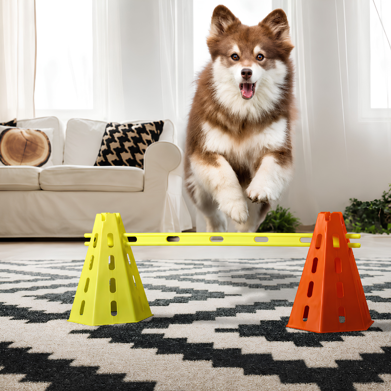 Dog Agility Training Set | Adjustable Jump Hurdle for Exercise & Enrichment