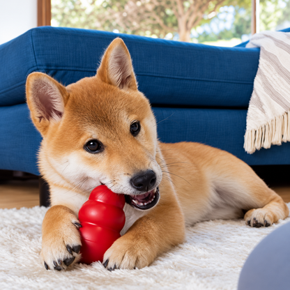 Method Explorer Honeycomb Dog Toy – Durable Treat-Dispensing Chew & Bounce Toy for Medium Dogs
